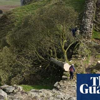 London Sword Attack, Premier League Considers Spending Cap, Robin Hood Tree Vandals Charged, HSBC Outperforms in Q1, and more...