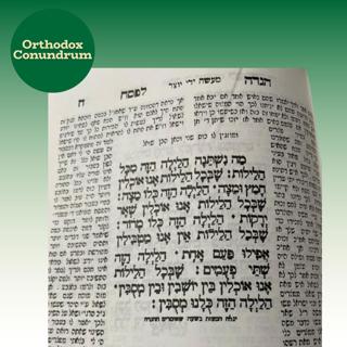 Celebrating Pesach in Challenging Times: Haggadah Insights from Eight Teachers of Torah (245)