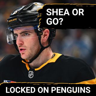 Should the Penguins re-sign Ryan Shea after his career year?