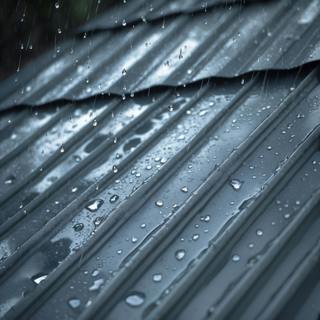 Rain on a metal roof Universal Sounds (for All Purposes)