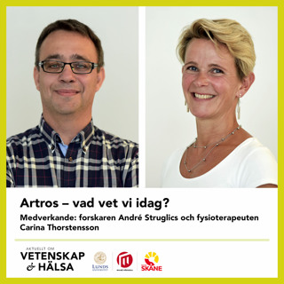 Artros – vad vet vi idag?