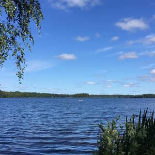Vem simmar vi med i sjön Fiolen?