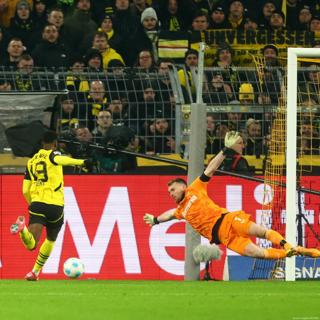 Erfolgsgeschichte Fußball-Bundesliga