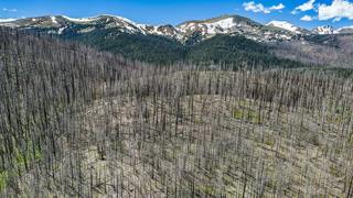 Can ‘assisted migration’ save forests? And the role of philosophy in science