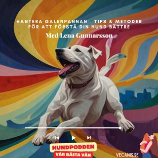 Hantera Galenpannan - Tips och metoder för att förstå din hund bättre