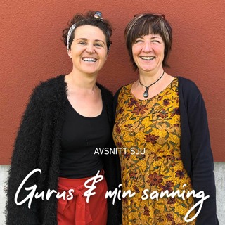 7. Gurus & min sanning