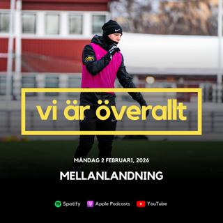 Mellanlandning