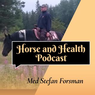 Det Tar Den Tid Det Tar! Del 2 (Stefan Forsman, Swedish)