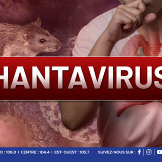 Hantavirus : Maurice renforce la surveillance et les capacités de détection