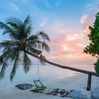 Maldives Island Waves and Koel - 10 Hours Sleep Sound