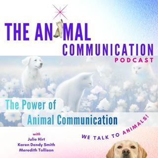 The Power of Animal Communication