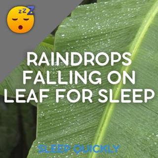 😴🌧️ RAINDROPS Falling on LEAF to HELP you SLEEP