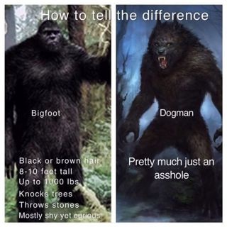 #319: Witches, Bigfoot And Dogman with Ryan Singer