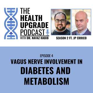 Vagus Nerve Involvement In Diabetes And Metabolism
