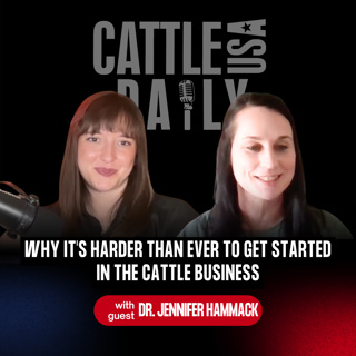 354: Why It's Harder Than Ever to Get Started in the Cattle Business with Dr. Jennifer Hammack