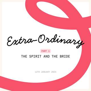 Extra-Ordinary: Part 1 - The Spirit & The Bride (David Lyon)