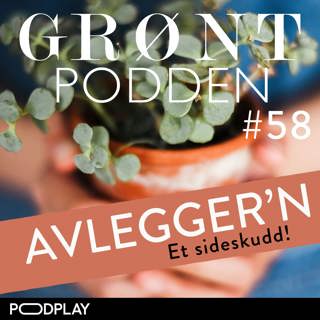 #58 Grøntpodden Avlegger'n
