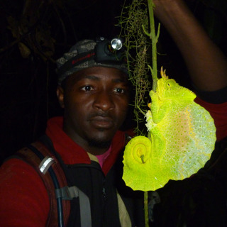 104: Cameroon Chameleon Field Study with Walter Tapondjou