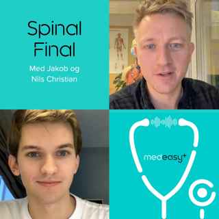 Spinal Final