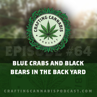 #64 - Blue Crabs and Black Bears in the Back Yard