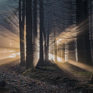 Best of Awake in the World: The World is its Own Mantra