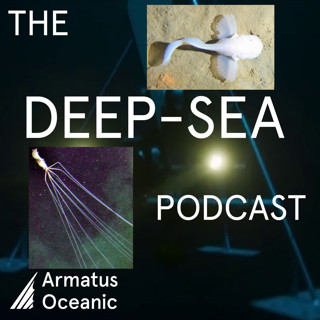 019 - We call Mike Vecchione on the squid-phone