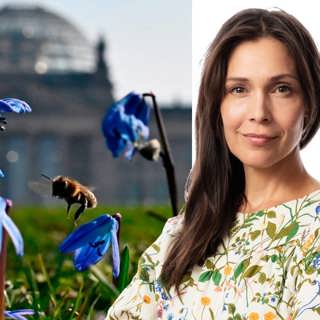 Den ljuva halvtimmen utanför hemmet: Caroline Salzinger, Berlin