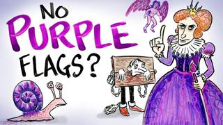 Why Don't Country Flags Use The Color Purple? | After Skool