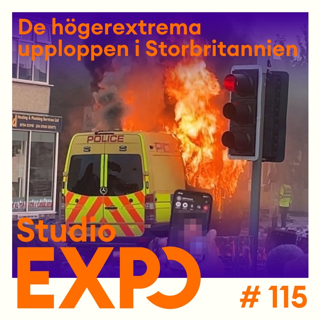 115. De högerextrema upploppen i Storbritannien