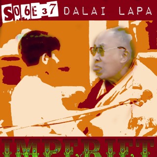 S06E37. Dalai Lapa