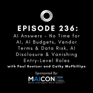 #236: AI Answers - No Time for AI, AI Budgets, Vendor Terms & Data Risk, AI Disclosure & Vanishing Entry Level Roles