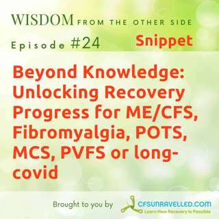 E24: Snippet - Beyond Knowledge: Unlocking Recovery Progress for ME/CFS, Fibromyalgia, POTS, MCS, PVFS or long-covid