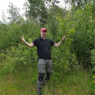 Skogsfredag #173 - Lövskog, betestryck och virkespriser