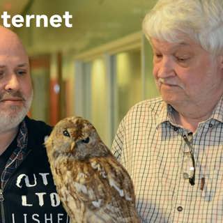 IT-historia: Har ni hört talas om Internet?