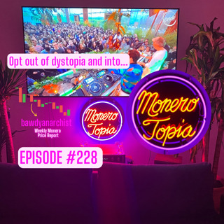 MoneroTopia Episode 228 Monero Price Report, News of the week & MUCH More! EPI 228