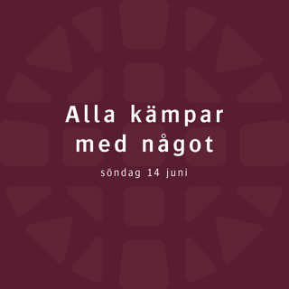 Alla kämpar med något – Lovisa Almén