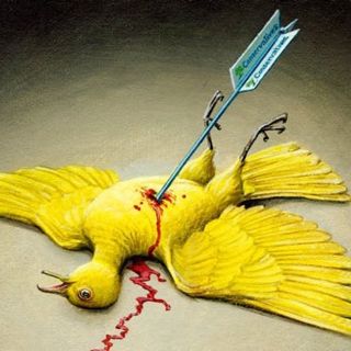 Where did the Liberal Democrats go wrong?