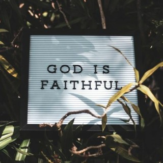 Homily-07-05-2020