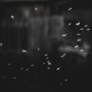 20220318 - Letting Go