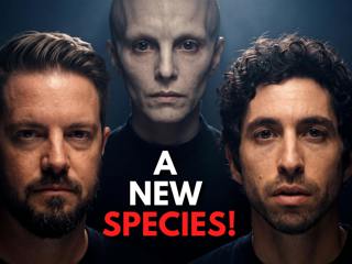 Pentagon Whistleblower UNLOADS on Alien Hybrid Breeding Programs (ft. Matthew Brown)