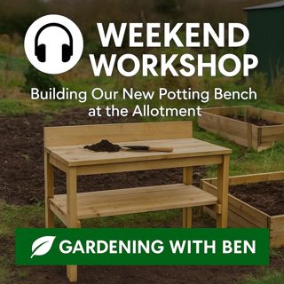🎧 🛠️ Weekend Workshop | Building Our New Potting Bench at the Allotment 🌱