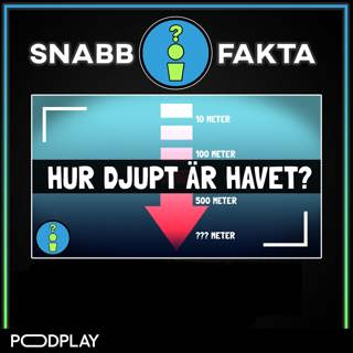 Hur djupt är havet?