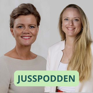 §293 Kvinnehelse og endometriose: blir kvinners rettigheter ivaretatt?