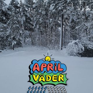 Skogsfredag #108 - skogsentreprenörer och virkespris i snökaos