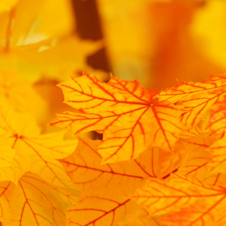 54 – You Don't Need to Improve or Get Anything to Fulfill the Buddha Way