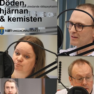 Omvårdnad i den utredande rättspsykiatrin