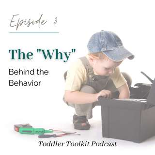 The "Why" Behind the Behavior