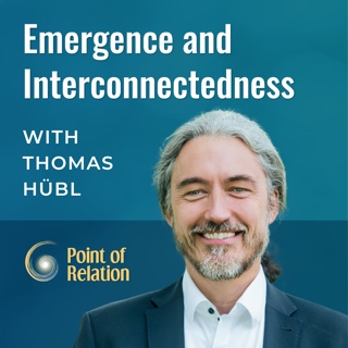 Emergence and Interconnectedness