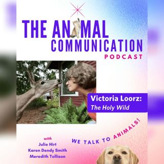 The Holy Wild with Victoria Loorz