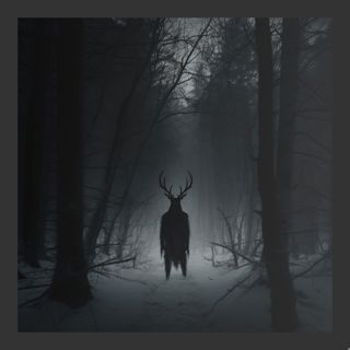 A Voice in the Woods